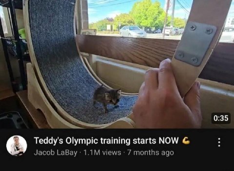 0:35 Teddy's Olympic training starts NOW