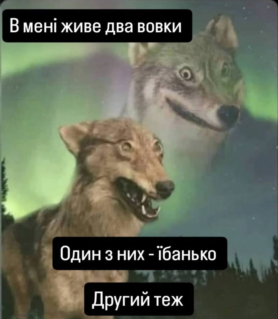 В мен! живе два вовки Один 3 -Тбанько Другий теж