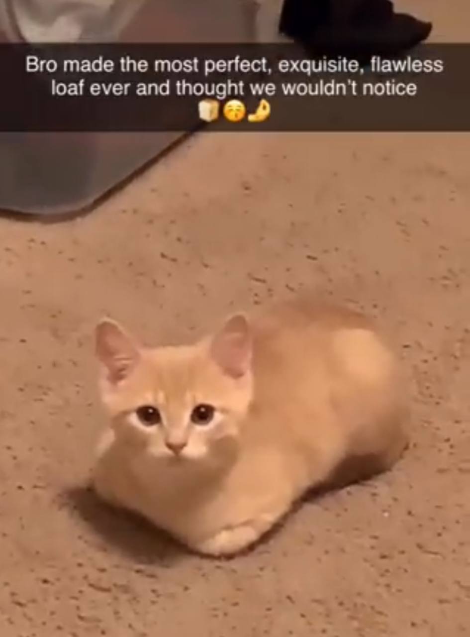 a Bro made the most perfect, exquisite, flawless loaf ever and thought we wouldn't notice