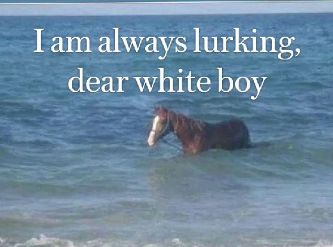 Гат always lurking, dear white boy