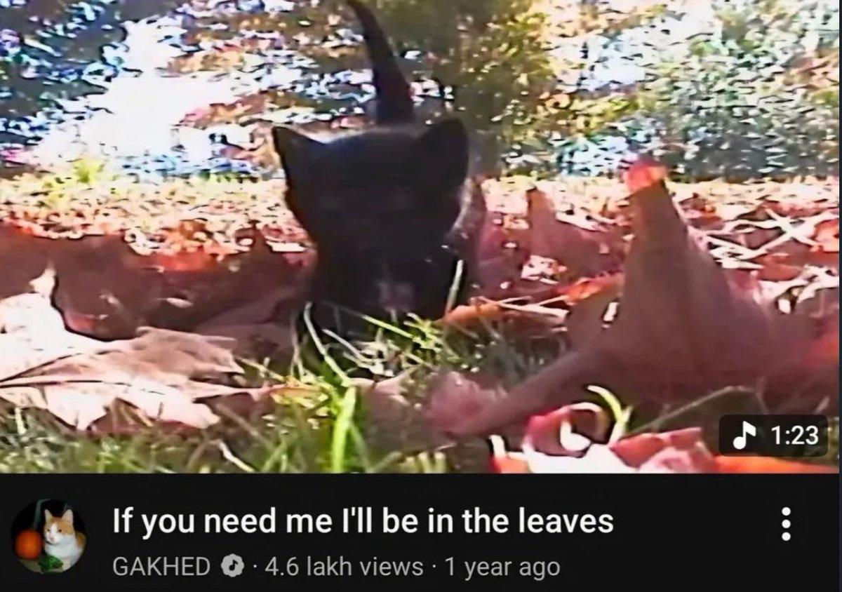 4 2 i- 7 4 1:23 4 If you need me be in the leaves GAKHED 4.6 lakh views 1 year ago
