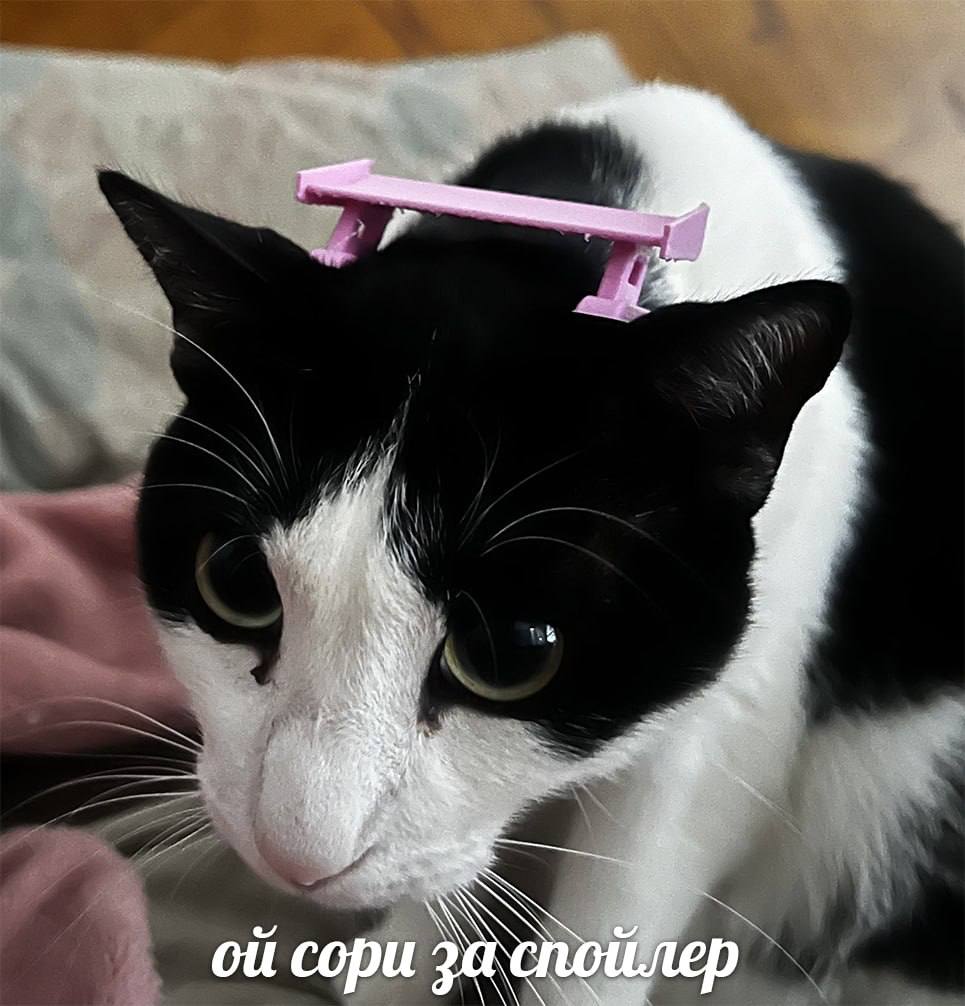 сори