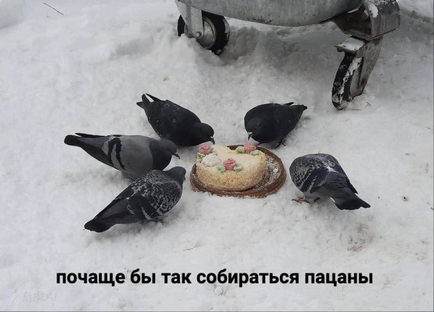 fis почаще бы Tak собираться пацаны