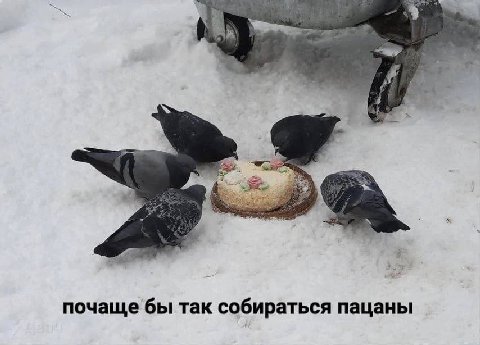 fis почаще бы Tak собираться пацаны