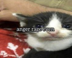 anger