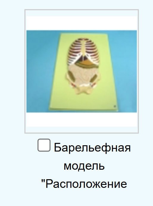 Барельефная модель "Расположение