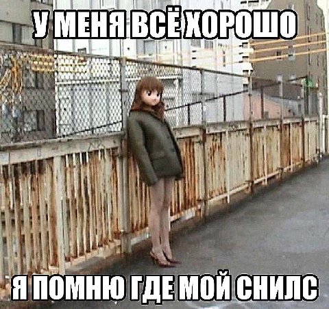 УМЕНЯ ВСЕ 0 ayy Cab 5 1 НИИ! ГДЕМОИ СНИЛС