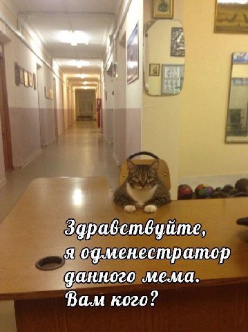 Здравствуйте, я од.менестратор мема. Вам кого?