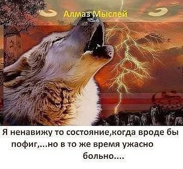 у ыслей Tes Я ненавижу то состояние‚когда. вроде бы в то же время ужасно