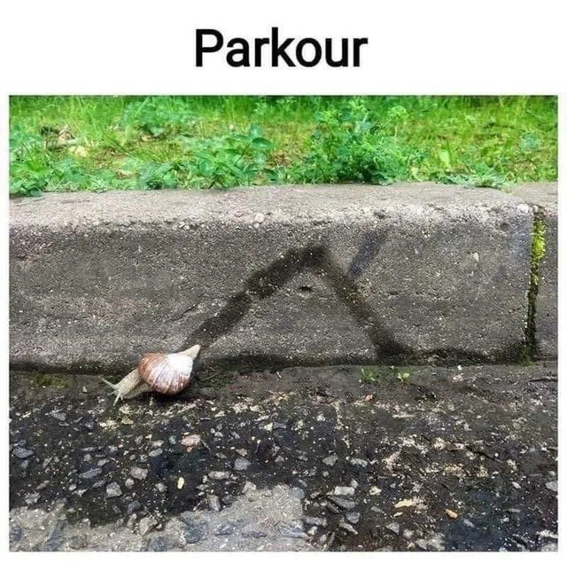 Parkour 3 4 В