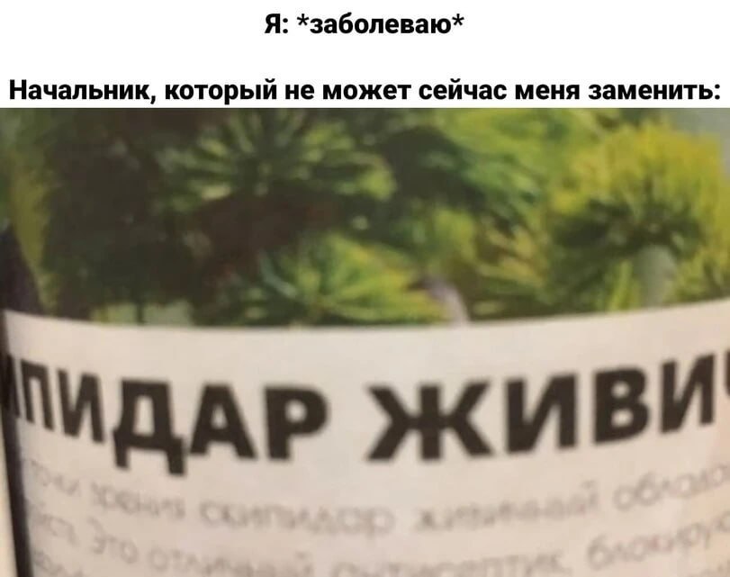 Я: хзаболеваю* Начальник, который не может сейчас меня заменить: ИДАР ЖИВИ