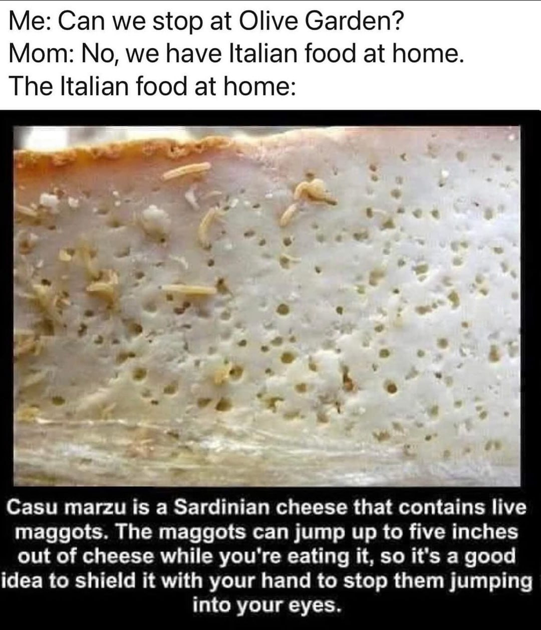 Me: Can we stop at Olive Garden? Mom: No, we have Italian food at home. The Italian food at home: a a i 2 Casu тагги is a Sardinian cheese that contains live maggots. The maggots can jump up to five i