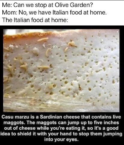 Me: Can we stop at Olive Garden? Mom: No, we have Italian food at home. The Italian food at home: a a i 2 Casu тагги is a Sardinian cheese that contains live maggots. The maggots can jump up to five i