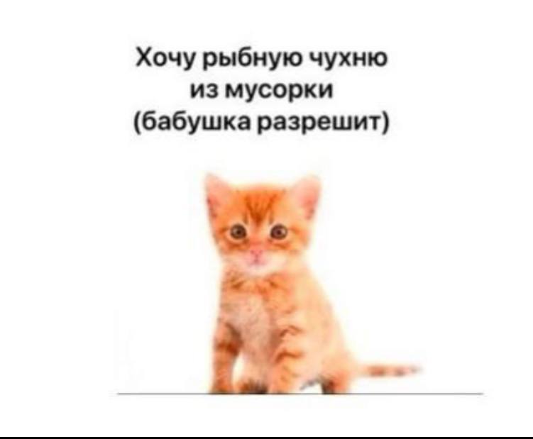 Хочу рыбную чухню из мусорки (бабушка разрешит)