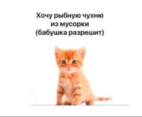 Хочу рыбную чухню из мусорки (бабушка разрешит)