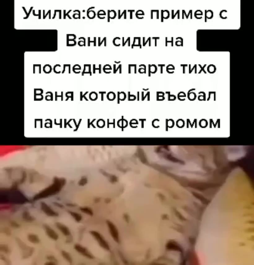 Училка:берите пример с Вани сидит на последней парте тихо Ваня который въебал пачку конфет с ромом