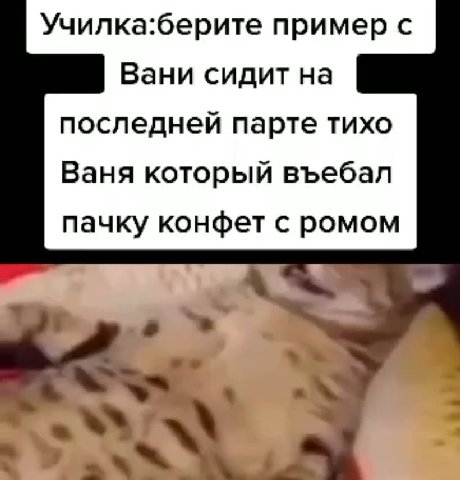 Училка:берите пример с Вани сидит на последней парте тихо Ваня который въебал пачку конфет с ромом