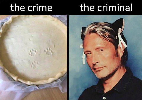 the crime the criminal