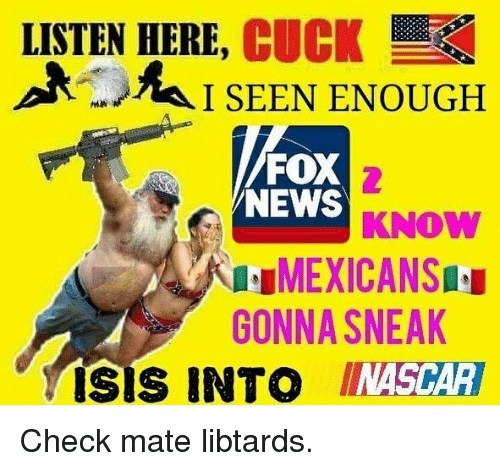 LISTEN HERE, I SEEN ENOUGH KNOW GONNA SNEAK ISIS INTO Check mate libtards