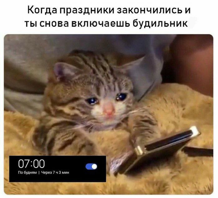 Когда праздники закончились и ты снова включаешь будильник 07:00 По будням Через 743 мин