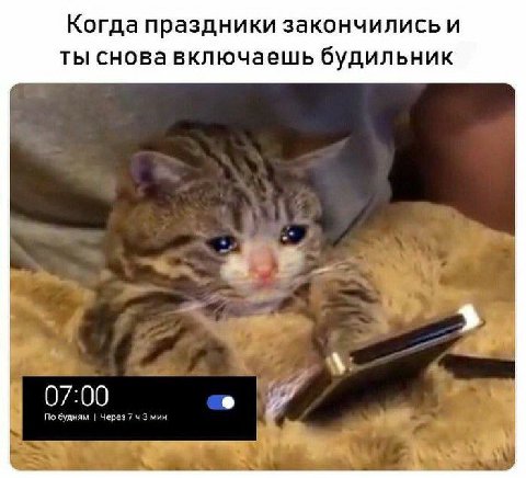 Когда праздники закончились и ты снова включаешь будильник 07:00 По будням Через 743 мин