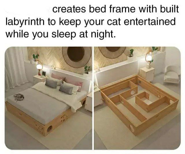 creates bed frame with built labyrinth to your cat entertained while you sleep at night.