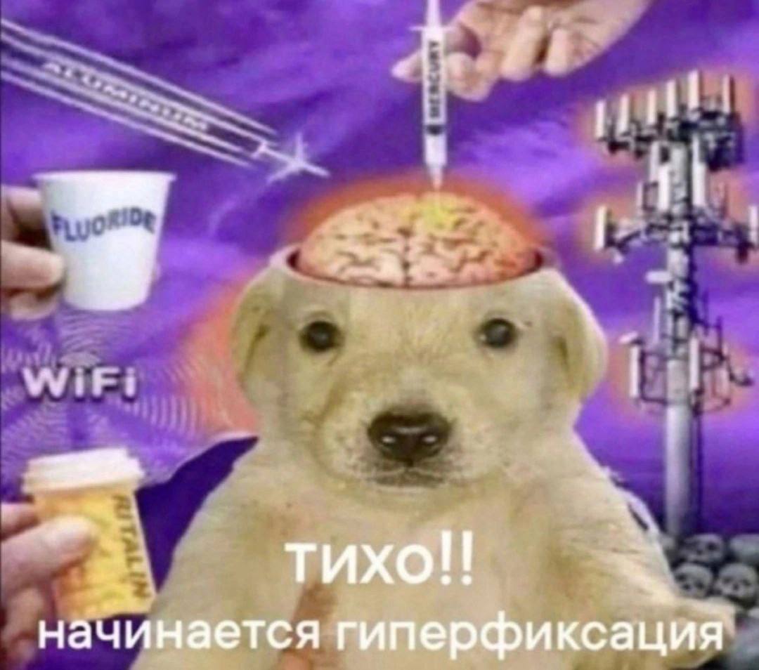 9 TUXO!! начинается гиперфиксация