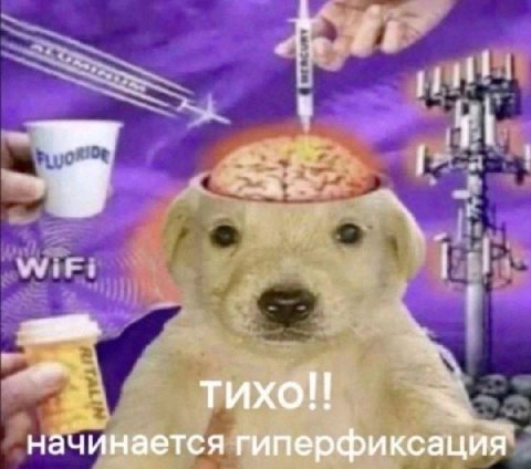 9 TUXO!! начинается гиперфиксация