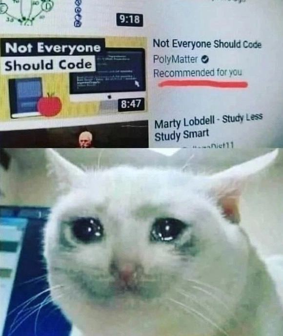 8 Not Everyone Not Everyone Should Code Should Code PolyMatter Recommended for you Marty Lobdell Study Less Study Smart 2