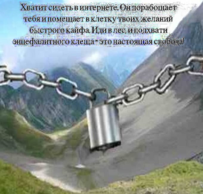 интернете. Онпорабощает тебяипомещает в клетку быстрогокайфа. Идив лес. иподхвати 16] это настоящая с