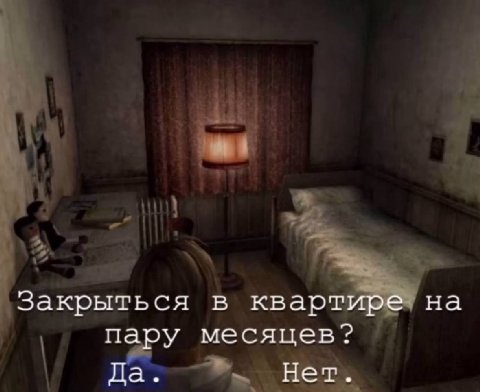 Закрыться в квартире на пару месяцев? Да. Нет.