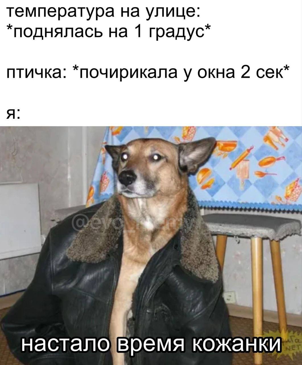 температура на улице: *поднялась на 1 градус* птичка: *почирикала у окна 2 сек* я: RAS A “4 if насталовремя