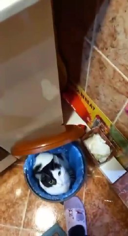 мем