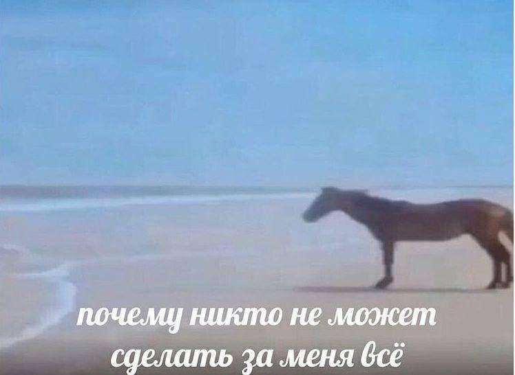 почему никто не может сделать за меня всё