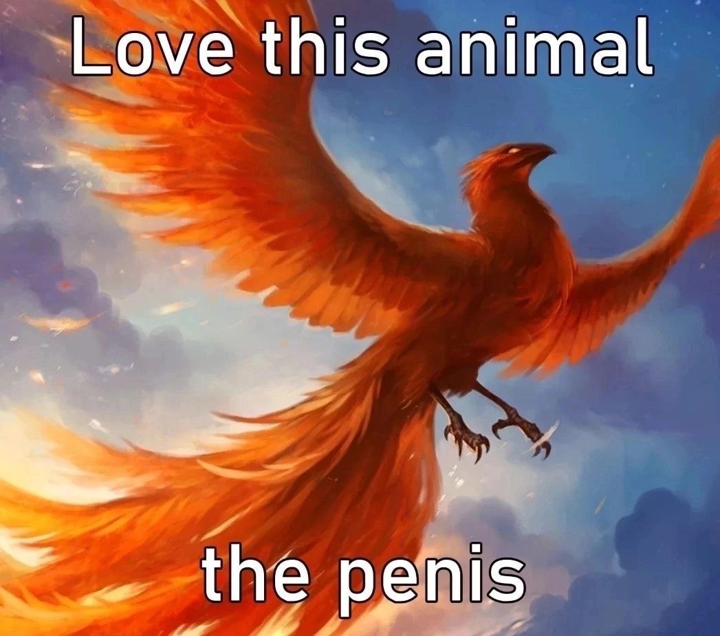 Love this animal the penis