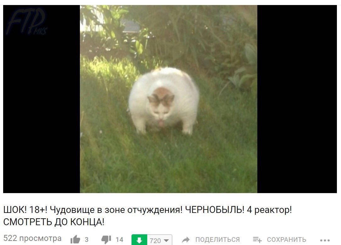 ШОК! 18+! Чудовище в зоне отчуждения! 4 реактор! СМОТРЕТЬ ДО КОНЦА! 522 просмотра 414 ПОДЕЛИТЬСЯ СОХРАНИТЬ