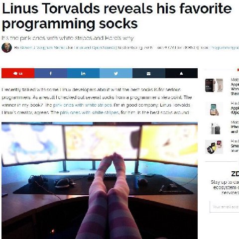 Linus Torvalds reveals his favorite programming socks It's the pink ones with white stripes and why. eve’ for Linu September 13. 2016 00:28 GMT (01:28 BST) Topic Mob Appl a: recently talked with some 