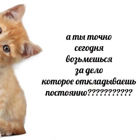 a mot точно бозьмешься за дело которое постоянно???????????