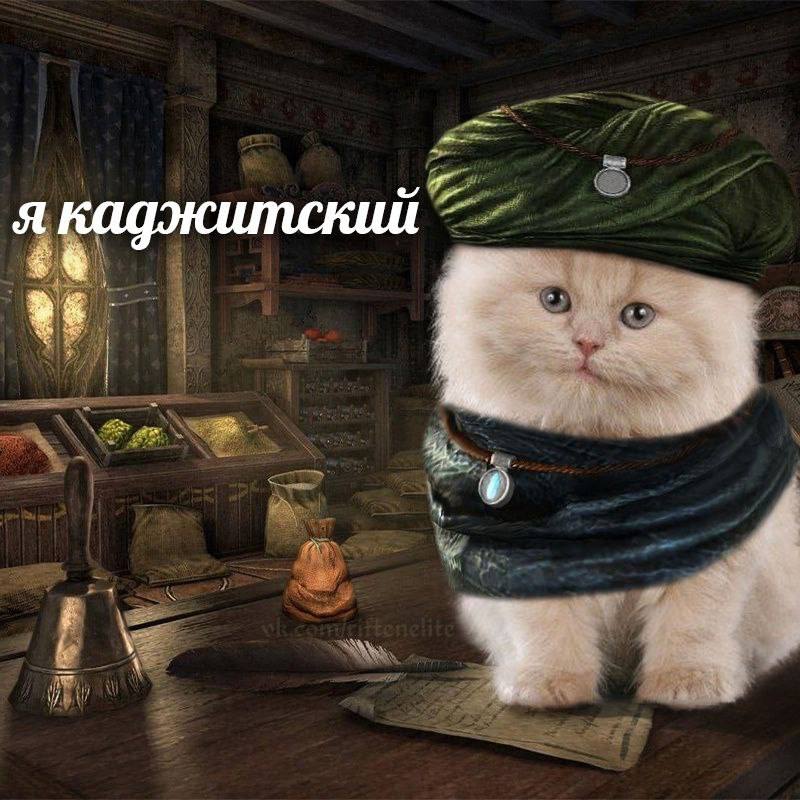 я каджитский