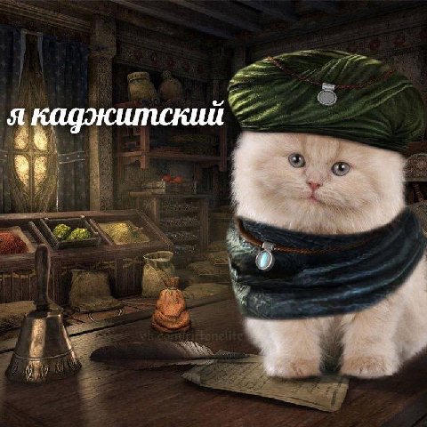 я каджитский