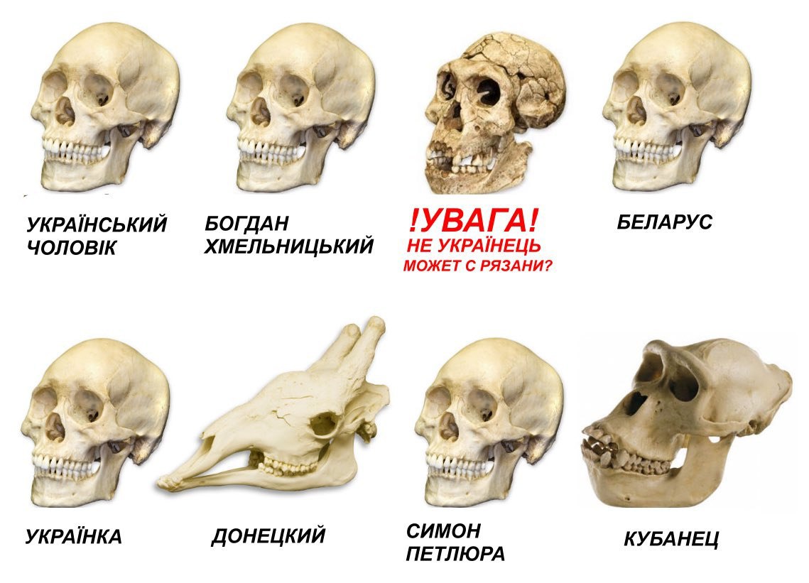 УКРАЙНСЬКИЙ !УВАГА! БЕЛАРУС ЧОЛОВК ХМЕЛЬНИЦЬКИЙ МОЖЕТ С РЯЗАНИ? 7 a 4 YKPAIHKA ОНЕЦКИЙ СИМОН КУБАНЕ ДОНЕЦ ПЕТЛЮРА
