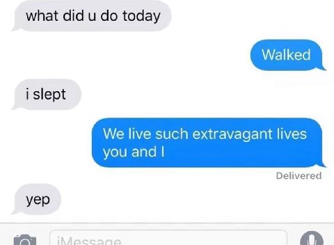what did и today i slept We live such extravagant lives you and Delivered yep