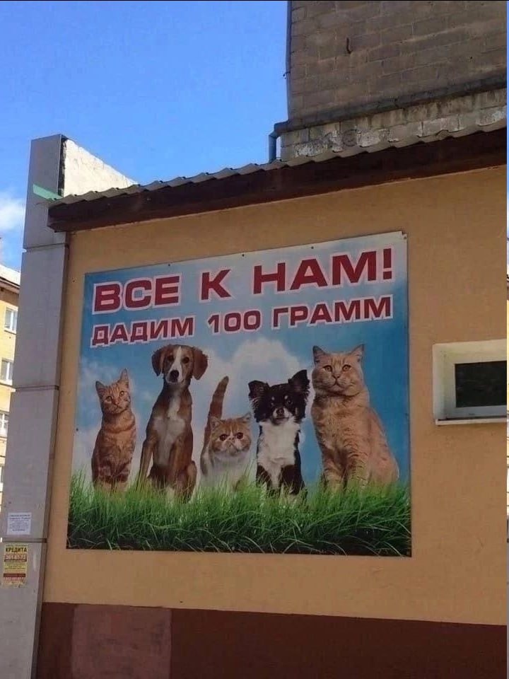 НАМ С АММ 100 ДАН [5