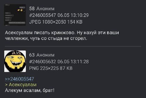 58 Аноним #246005547 06.05 13:10:29 JPEG 154 Асексуалам писать кринжово. Ну нахуй эти ваши челленжи, чуть стыда не сгорел. 63 Аноним #246005632 06.05 13:11:28 87 >>246005547 Асексуалам Алекум асалам, 
