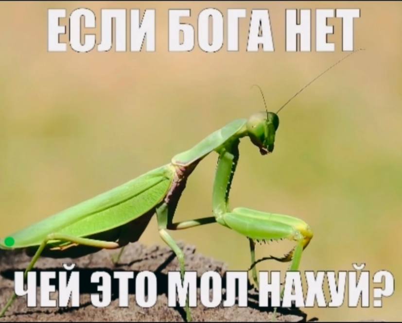 ЕСЛИ БОГА НЕТ ЧЕЙ ЭТО МОЛ НАКУЙ2