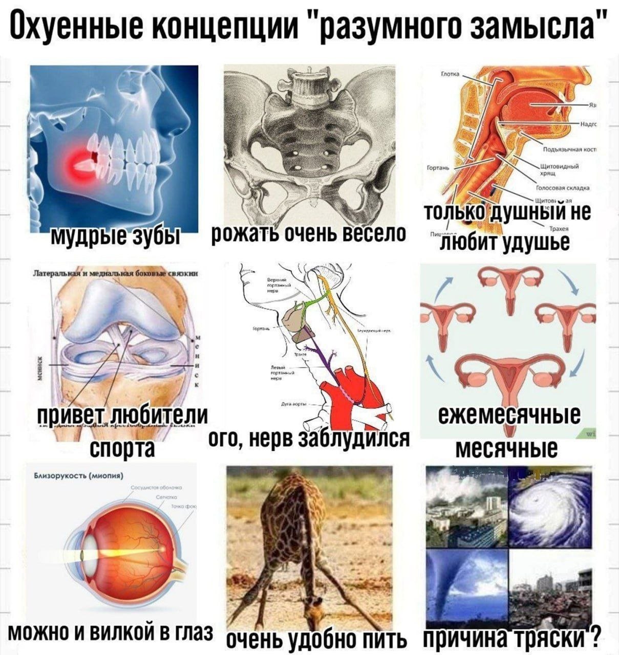 Охуенные концепции "разумного замысла у A У толькодушный не рожать очень весело удушье привет любители ежемесячные спорта’ нерв заблудился месячные Близорукость (миопия) МОЖНО И В очень удобно пить пр