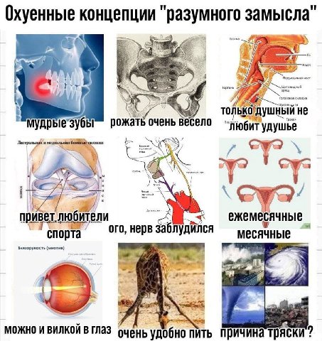 Охуенные концепции "разумного замысла у A У толькодушный не рожать очень весело удушье привет любители ежемесячные спорта’ нерв заблудился месячные Близорукость (миопия) МОЖНО И В очень удобно пить пр