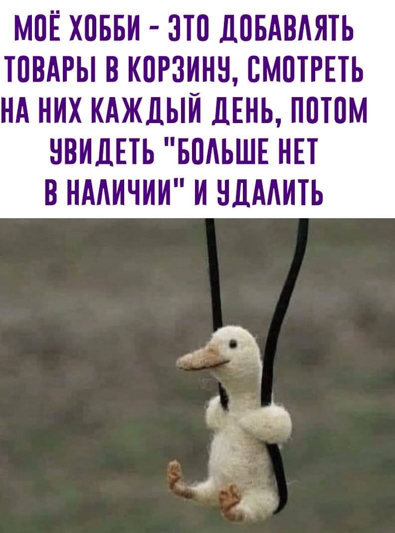 МОЕ ХОББИ ЭТО ДОБАВЛЯТЬ ТОВАРЫ В КОРЗИНУ, СМОТРЕТЬ НА НИХ КАЖДЫЙ ДЕНЬ, ПОТОМ УВИДЕТЬ "БОЛЬШЕ НЕТ В НАЛИЧИИ И УДАЛИТЬ A
