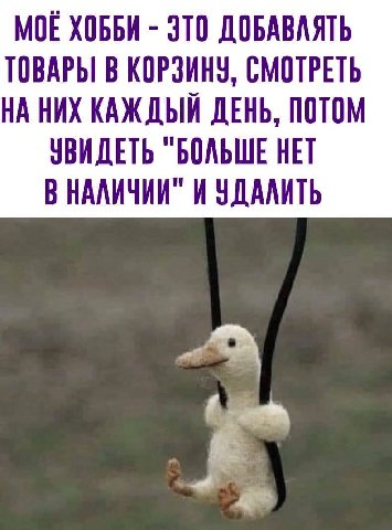 МОЕ ХОББИ ЭТО ДОБАВЛЯТЬ ТОВАРЫ В КОРЗИНУ, СМОТРЕТЬ НА НИХ КАЖДЫЙ ДЕНЬ, ПОТОМ УВИДЕТЬ "БОЛЬШЕ НЕТ В НАЛИЧИИ И УДАЛИТЬ A