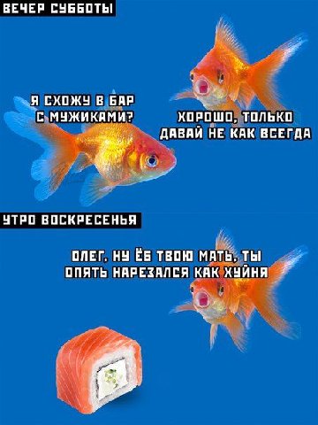 ВЕЧЕР СУББОТЫ и Я СХОЖУ В БАР С-МУЖИКАМИ? ХОРОШО, ТОЛЬКО ДАВАЙ НЕ КАК ВСЕГДА УТРО ВОСКРЕСЕНЬЯ ОЛЕГ, НУ ТВОЮ ТЫ ОПЯТЬ НАРЕЗАЛСЯ КАК ХУЙНЯ 7